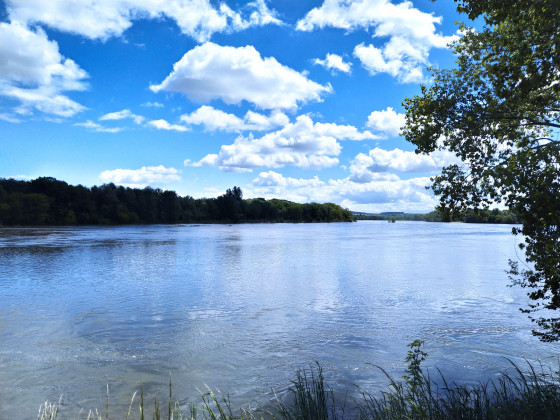 Bord de Loire