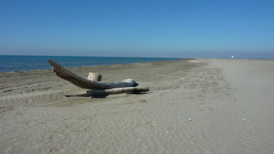 Bord de mer