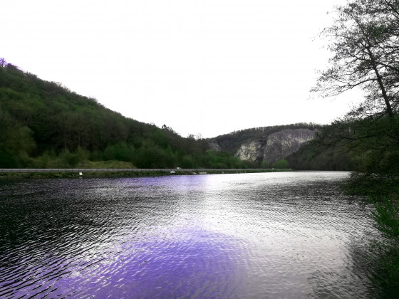 Bord de Meuse
