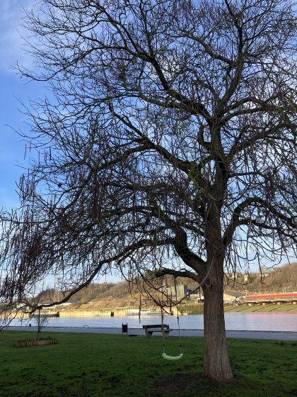 Bord de Meuse