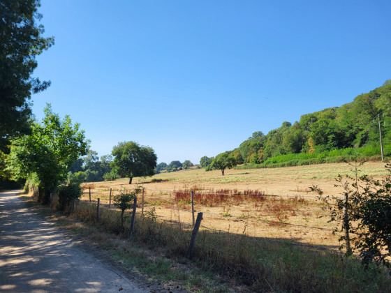 Bord de Sarthe et champs