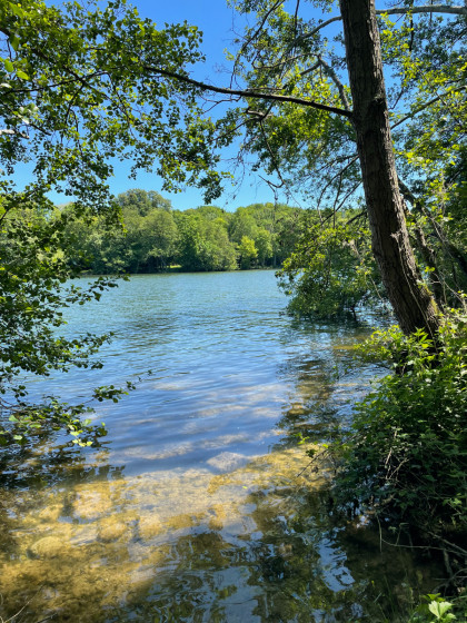 Bord de Seine