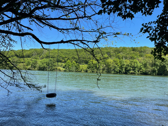 Bord de Seine