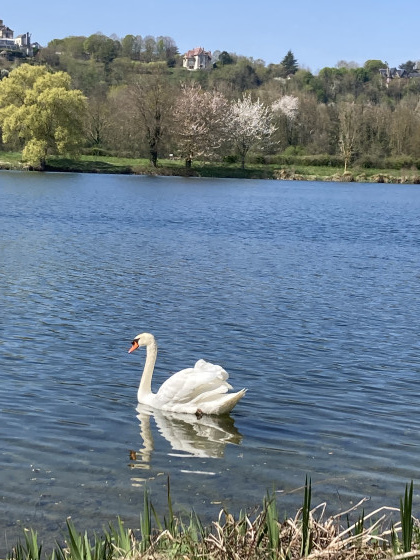 Bord de Seine