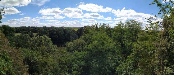 Bord de Sèvre