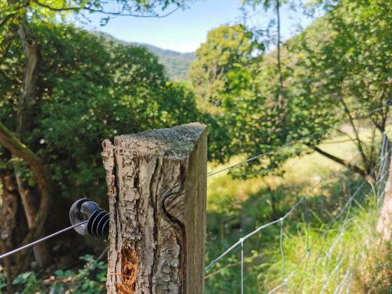 bord du chemin