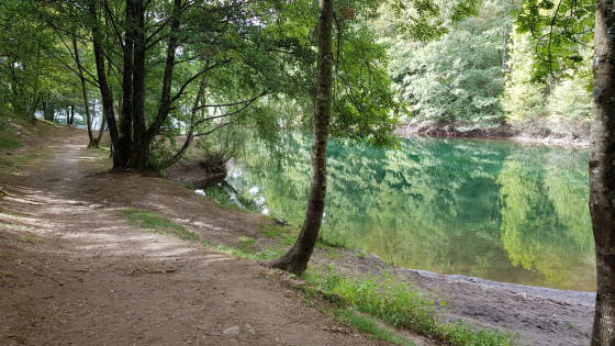 Bord du lac de Villefort