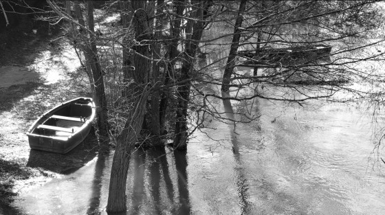 Bords de Marne