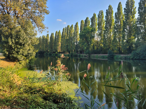 Bords de Sarthe - Allonnes