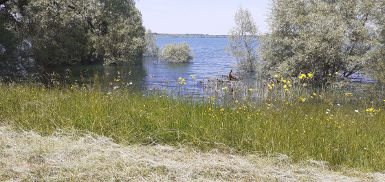 Bords du lac d Orient en allant à maison du parc