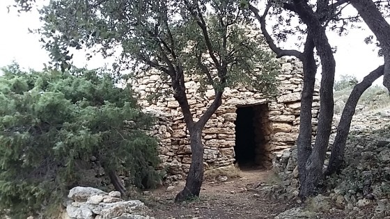 Borie du plateau du Tallagard