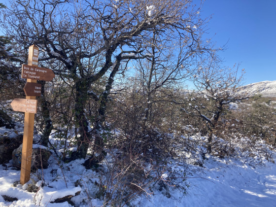 Borne 265 &agrave; droite
