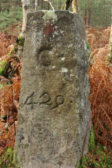 Borne 429