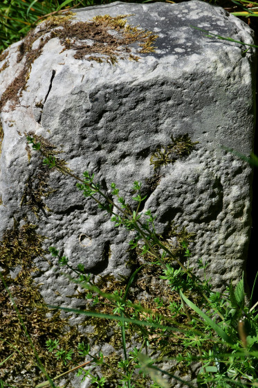 Borne fleurdelisée