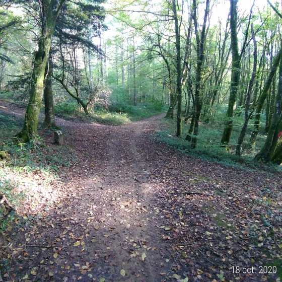Borne forestière - Ne pas dépasser pour cette balade.