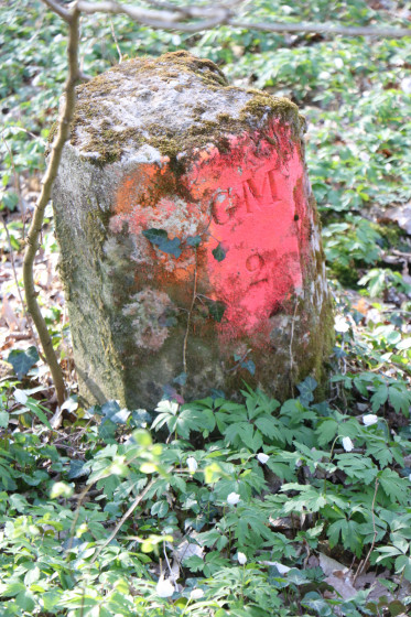 Borne forestière