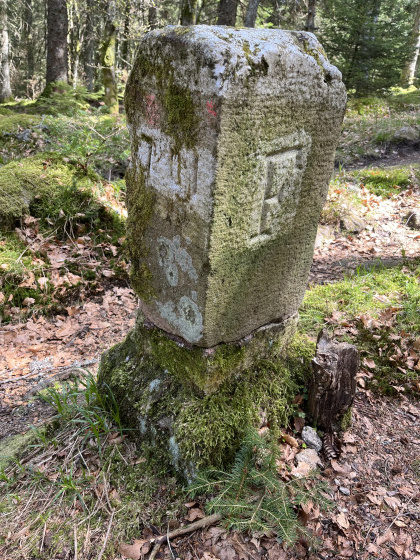 Borne Frontali&egrave;re