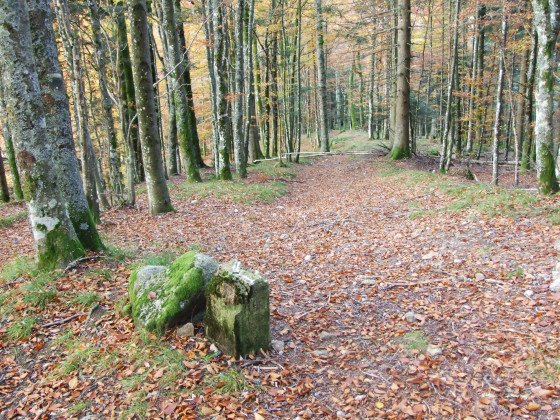 Borne frontière