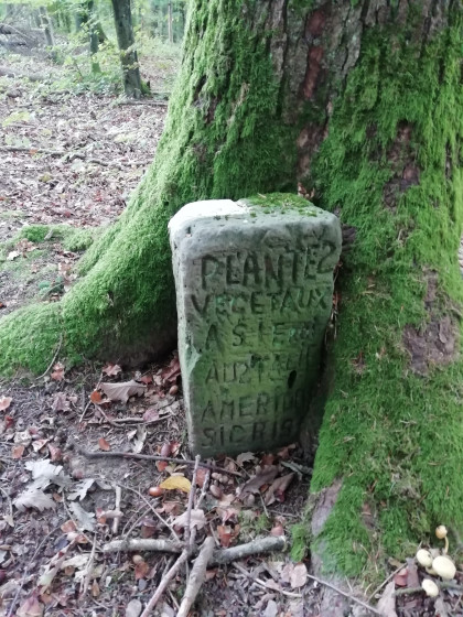 Borne myst&eacute;rieuse