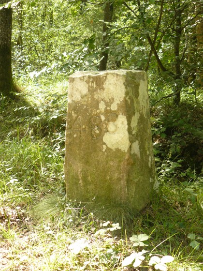 Borne