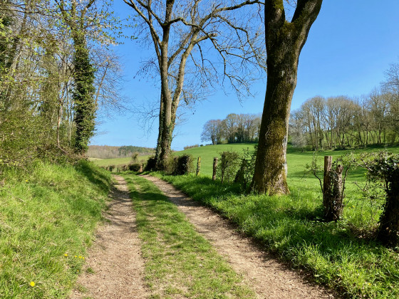 Bosquet apr&egrave;s Puiseux.