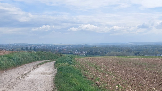 Entre Abbeville et Grand-Laviers, à l'aller...