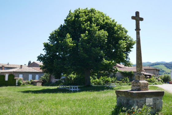 Boussoure