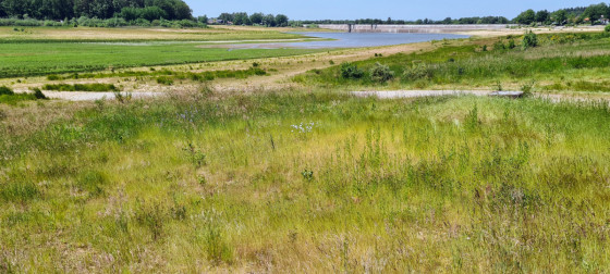 Bouzey, un plan d'eau bien spécifique