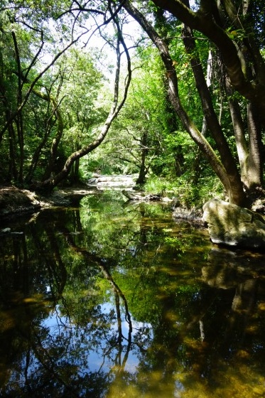 La Brague