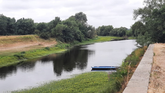 Bras annexee de la Loire