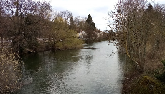Bras de Seine