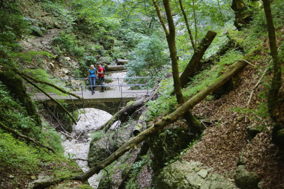 Brücke Hohenwittlingensteig