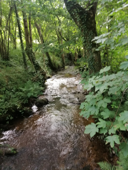 bruits de riviere