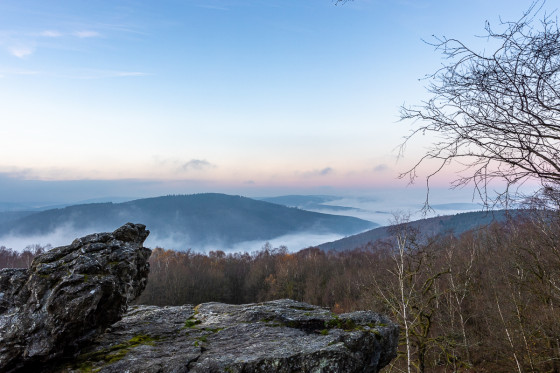 Brume matinale