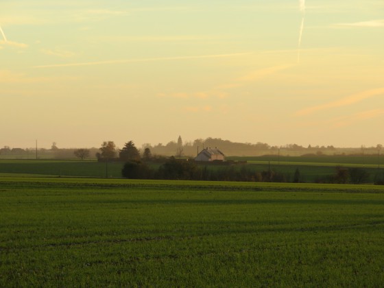 Brumes du soir