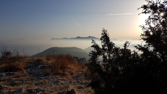 Brumes matinales