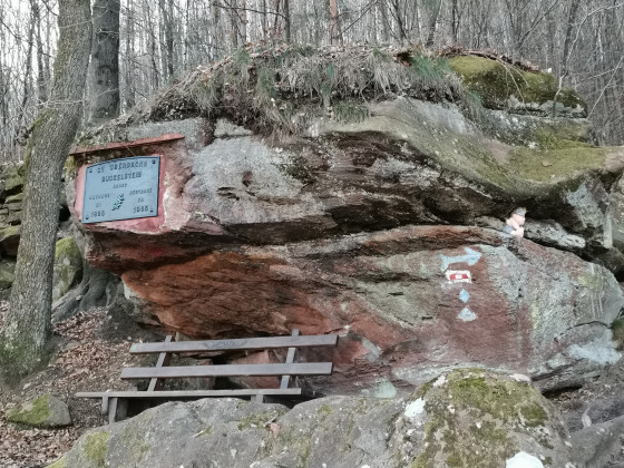 Buckelstein
