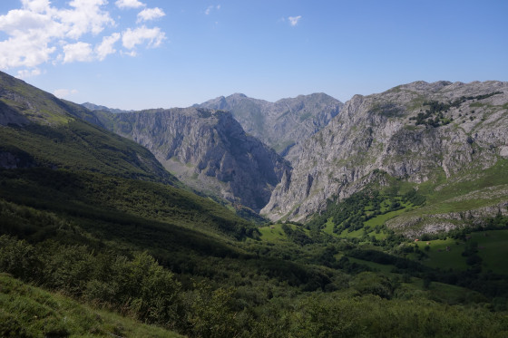 Bulnes
