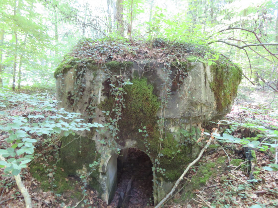 Bunker oubli&eacute;