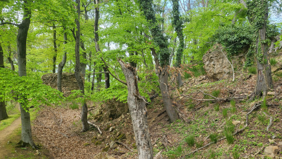 Burg Jossa - Reste der Wallmauer