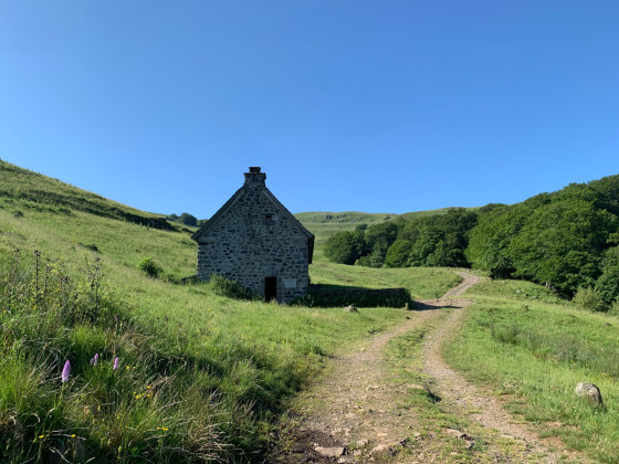 Buron du Violental
