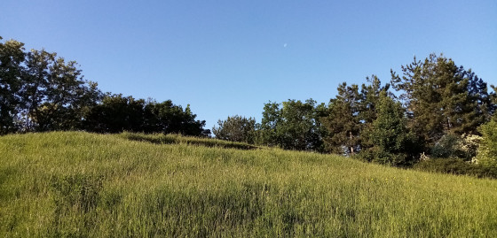 Butte