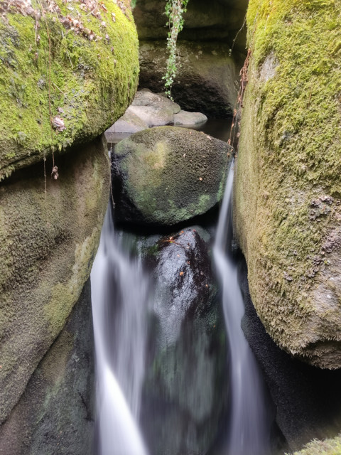 BuxZiwar