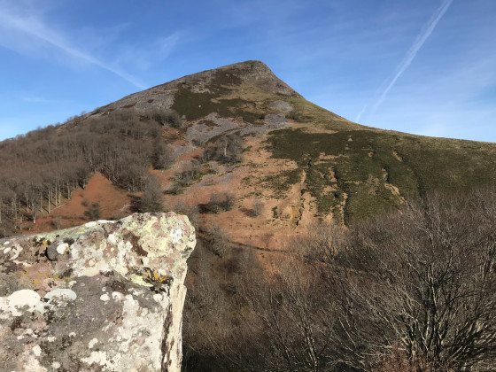 Buztanzelai