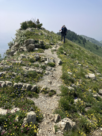 c\'est alors que le chemin devînt plus praticable