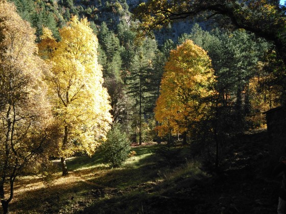 c\'est l\'automne