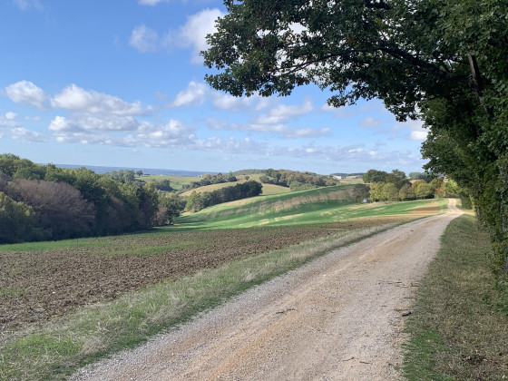 Campagne sur les c&ocirc;teaux de Roquemaure