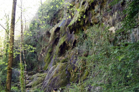 Les Cascades de Roquefort à sec ! mais si jolies...