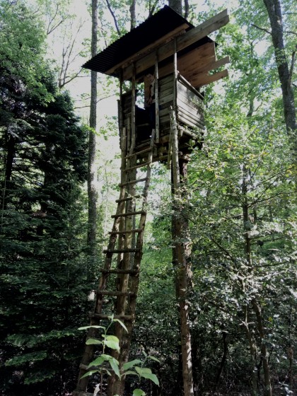 Cabane dans la forêt