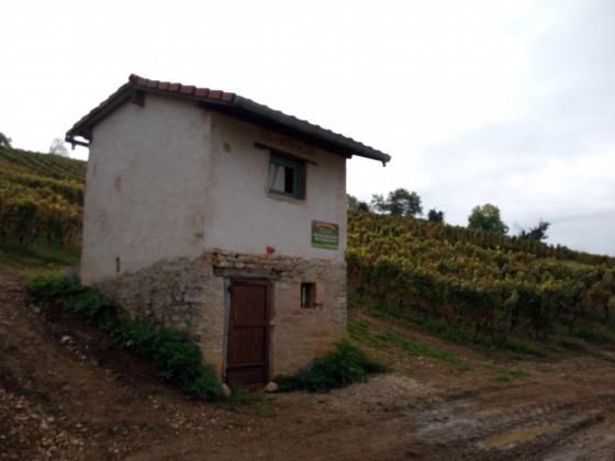 Cabane dans les Vignes